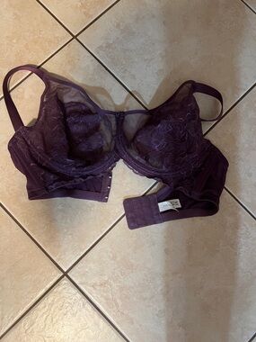 Plum Lace Underwire Bra with Sheer Cup Detail